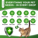 dog-antibiotics-forte-health-antibiotics-3.jpg