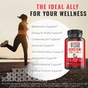 berberine-hcl-1200mg-with-ceylon-cinnamo-5.jpg