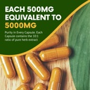neem-capsule-azadirachta-indica-equivale-6.jpg