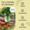 herbamama-mimosa-pudica-seed-capsules----5.jpg