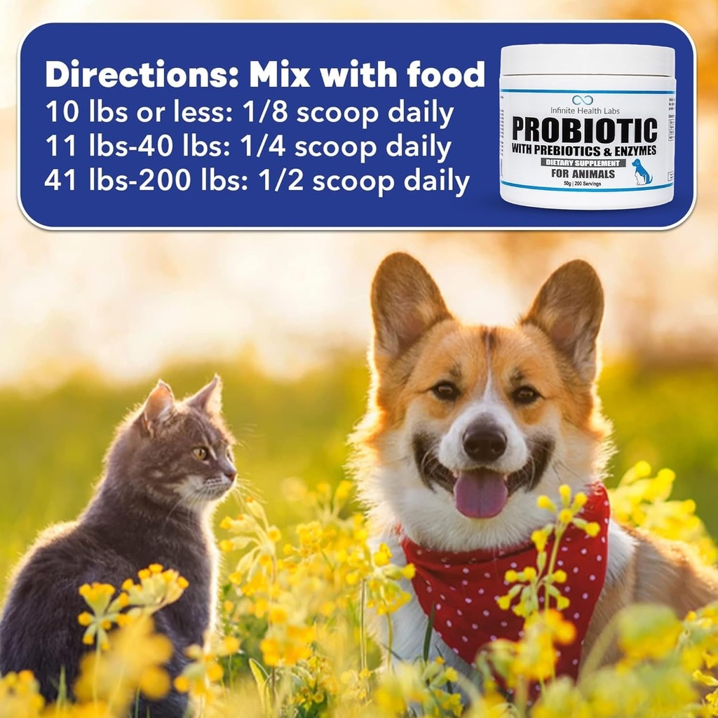 probiotics-for-dogs-and-cats---vet-formu-6.jpg