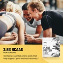 levels-organic-plant-protein-20g-of-prot-4.jpg