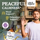 wild-organic-skullcap-tincture---relaxat-2.jpg