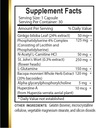brain-memory-support---neuro-enhancement-2.jpg