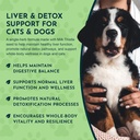 animal-essentials-milk-thistle-for-dogs--5.jpg