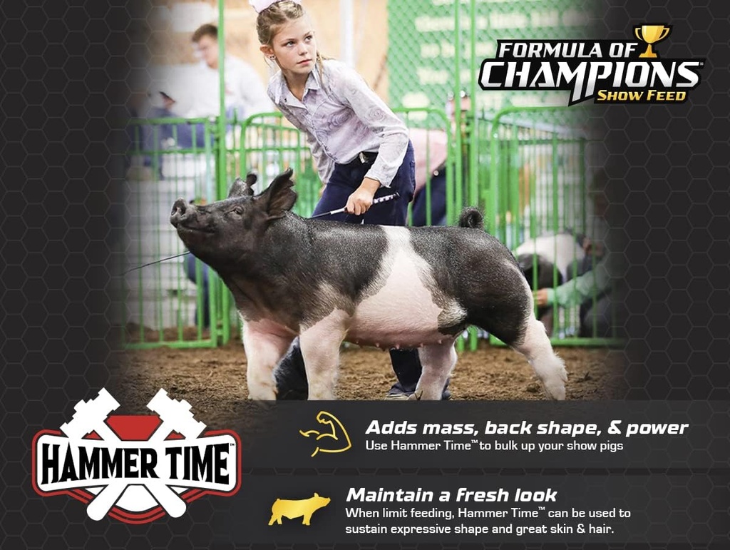 hammer-time-nutritional-supplement-for-s-4.jpg