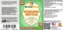 stinging-nettle-urtica-dioica-glycerite--2.jpg