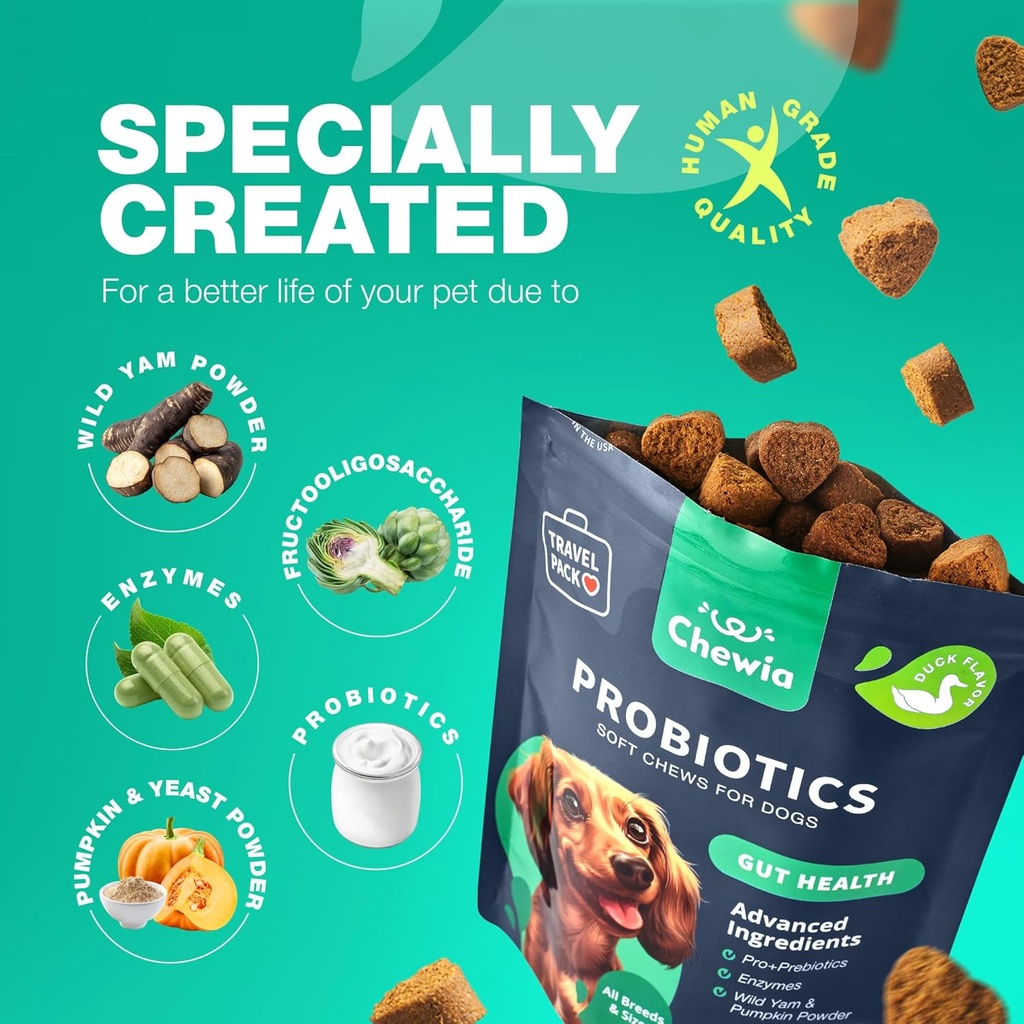 probiotics-for-dogs---support-gut-health-5.jpg