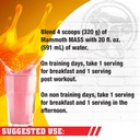 mammoth-mass-weight-gainer-high-calorie--4.jpg