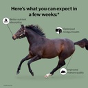 formula-707-digestive-health-equine-supp-3.jpg