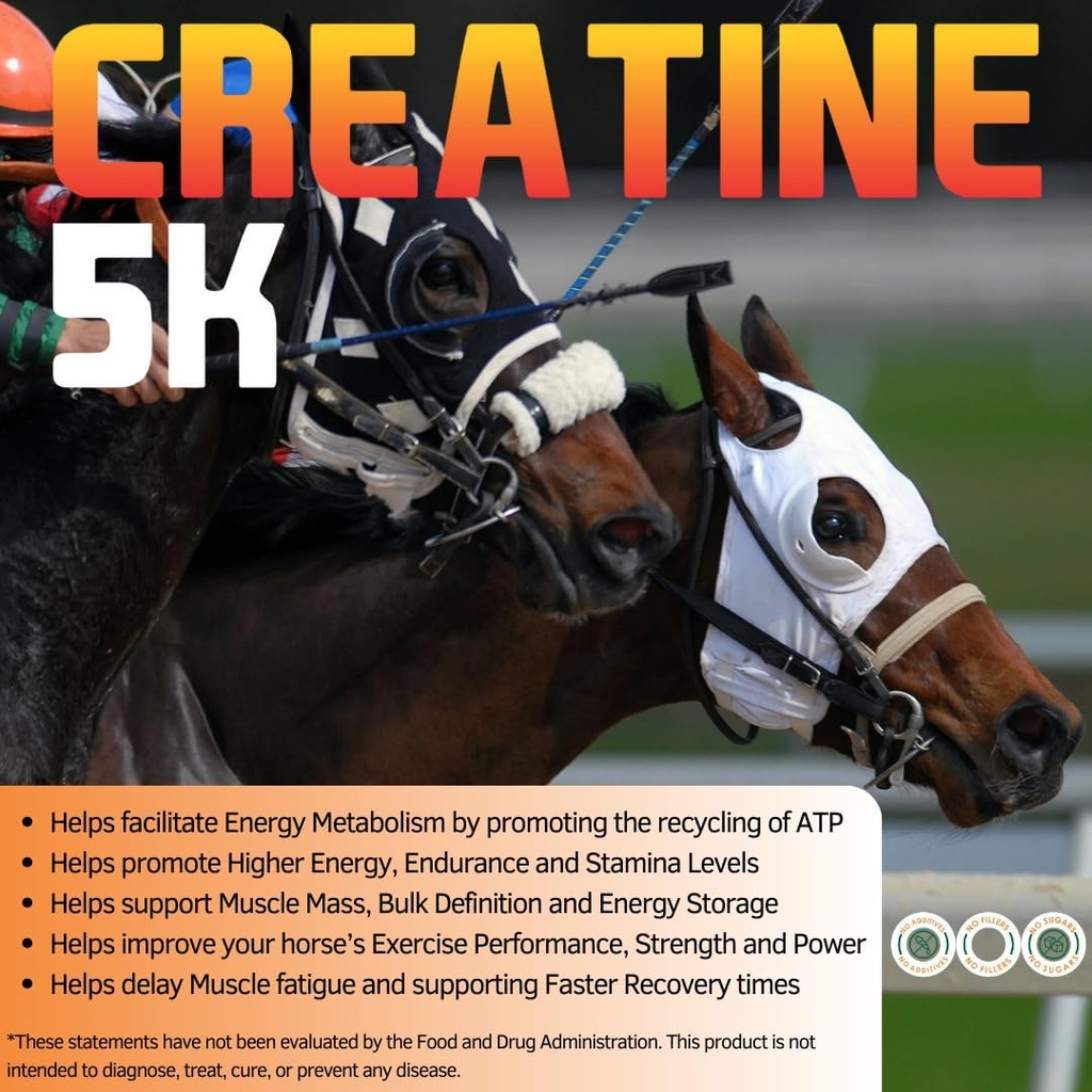 creatine-5k---energy-muscle-support-reco-2.jpg