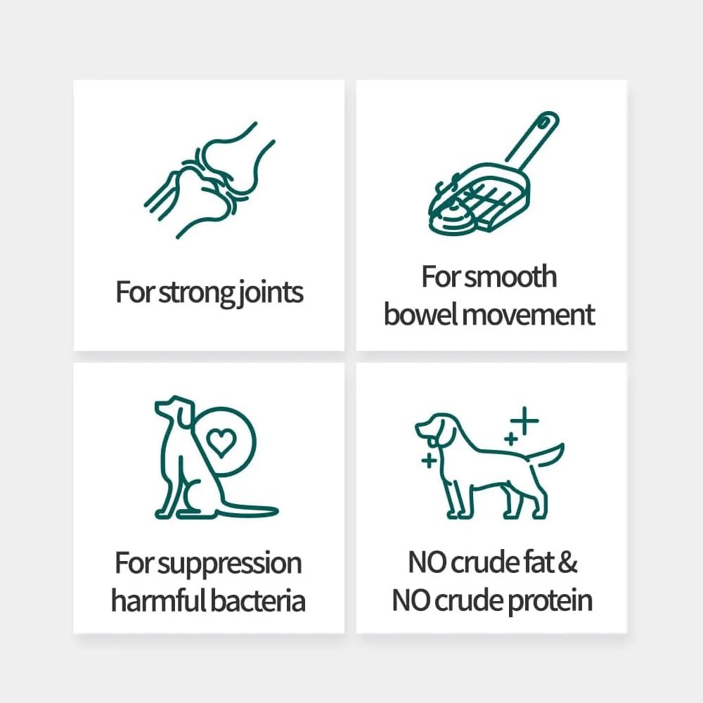 probiotics-for-dogs-and-cats-gut-health--3.jpg