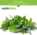 naturalma-ginkgo-ginkgo-biloba-leaf-alco-4.jpg