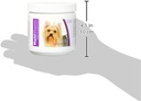 healthy-breeds-yorkshire-terrier-multi-v-3.jpg