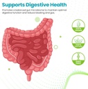 gut-probiotic-30-billion-cfu-with-de111--4.jpg