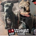 k9-weight-gainer-for-dogs-build-muscle-g-3.jpg