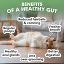 probiotic-for-cats-kittens---cat-probiot-3.jpg