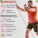 muscle-genesis-hmb-and-vitamin-d3-supple-4.jpg