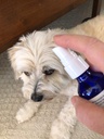 eye---all-natural-liquid-supplement-for--3.jpg
