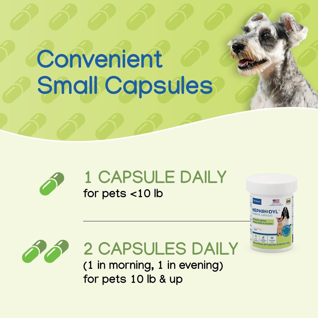 nephrodyl-synbiotic-capsules---kidney-su-6.jpg
