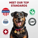 probiotics-for-dogs-digestive-health---p-5.jpg