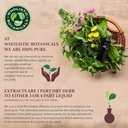ginkgo-biloba-capsule-memory-supplement--4.jpg