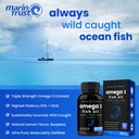nutrachamps-omega-3-fish-oil-and-digesti-5.jpg