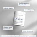 bodyhealth-organ-grass-fed-glandular-org-3.jpg