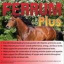 ferrum-plus---iron-rich-blood-support-en-3.jpg