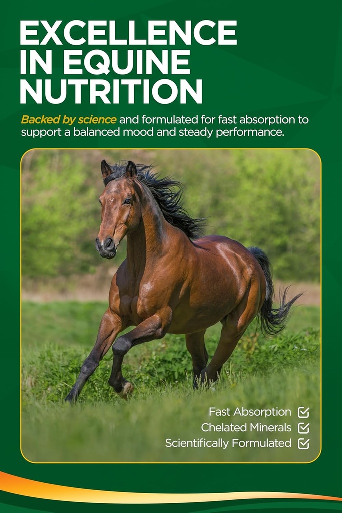 trm-good-as-gold-equine-calming-suppleme-6.jpg