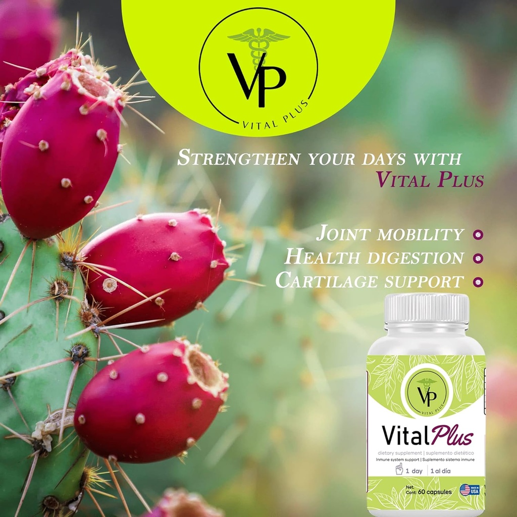 vital-plus---treatment-for-varicose-vein-2.jpg