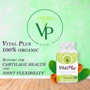 vital-plus---treatment-for-varicose-vein-4.jpg