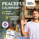 wild-organic-skullcap-herb-tincture---sk-2.jpg