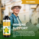 cats-claw-liquid-extract--vegan--gluten--6.jpg