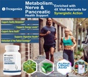 trexgenics-metabolism-support-with-gymne-5.jpg