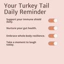 magic-dozeTM-turkey-tail-mushroom-capsul-4.jpg