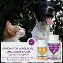 comprehensive-liver-supplement-2-pack----2.jpg