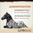 fullbucket-health-foal-probiotic-paste-5.jpg