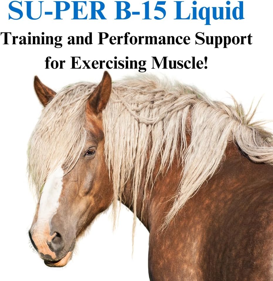 su-per-b-15-vitamin-supplement-for-horse-2.jpg