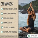 panax-ginseng-ginkgo-biloba-supplement-f-6.jpg