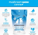 om-mushroom-matrix-pet---canine-maximum--3.jpg