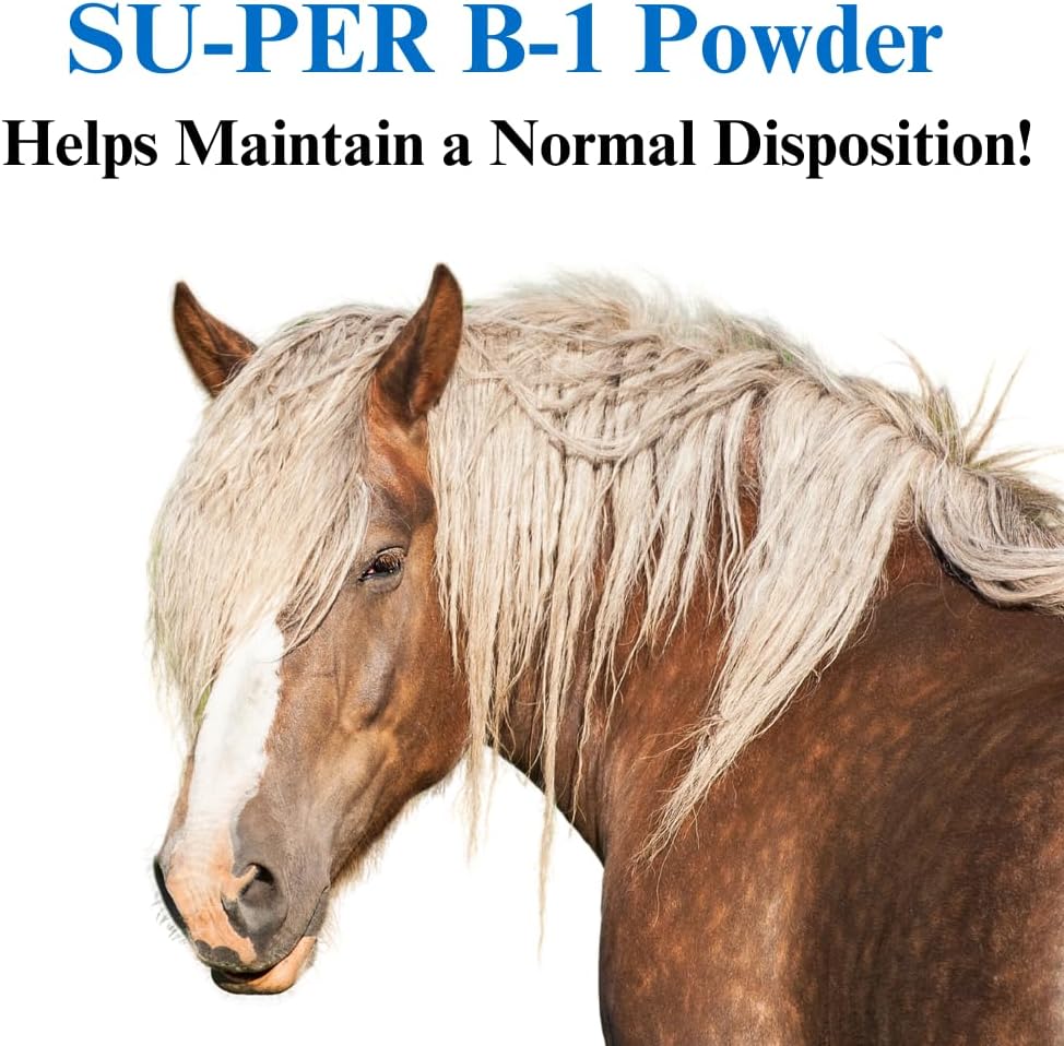 su-per-b-1-horse-calming-supplement---eq-3.jpg