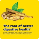 enzymedica-dgl-stomach-soothe-deglycyrrh-6.jpg