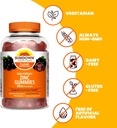 sundown-high-potency-zinc-gummies-90-cou-4.jpg