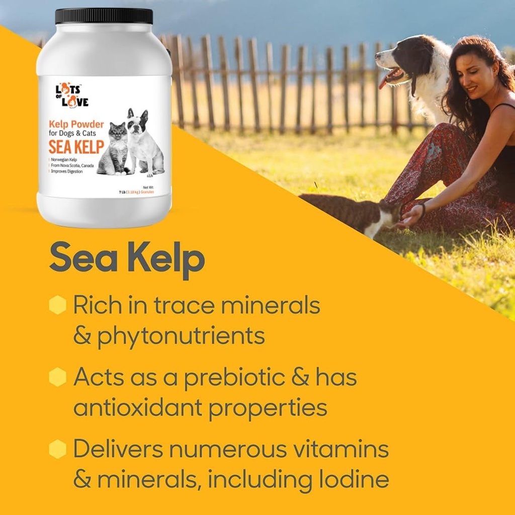 organic-sea-kelp-powder-7-pounds-32-kg-i-6.jpg