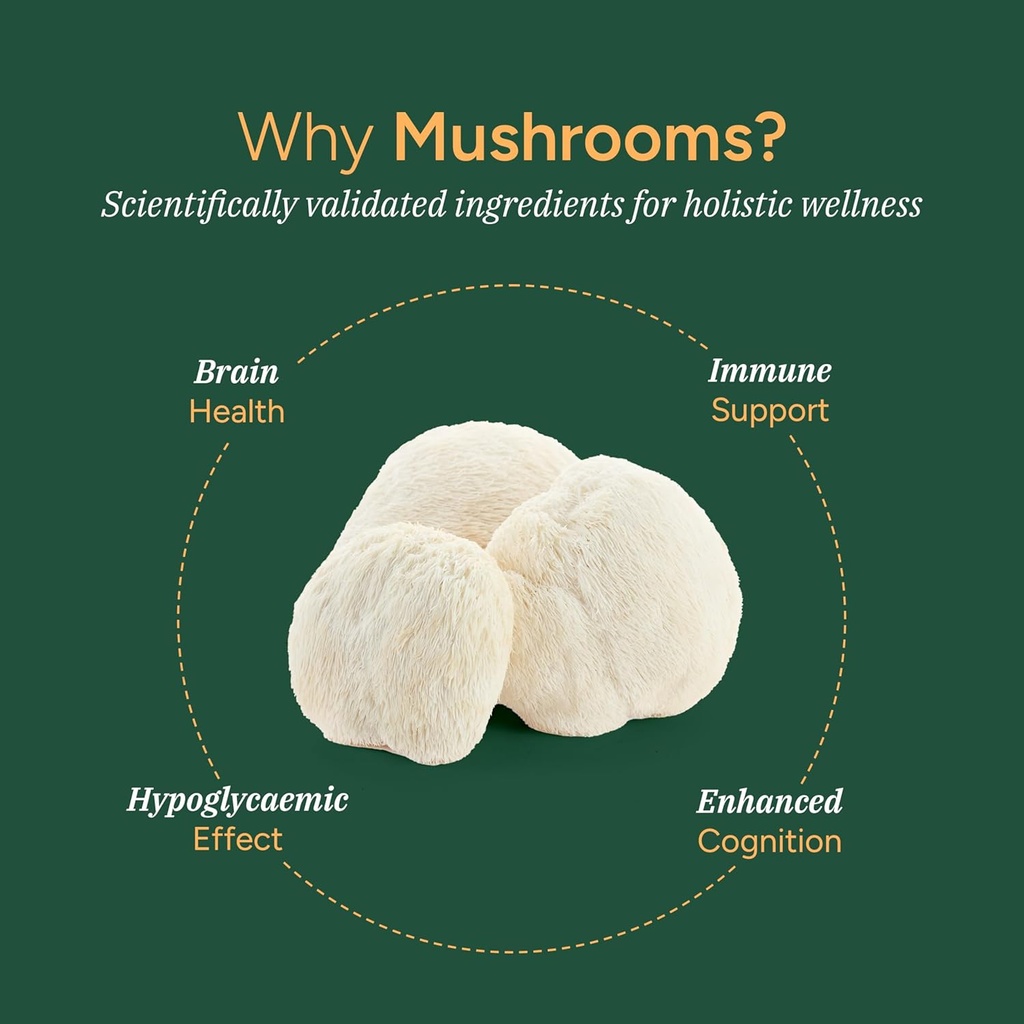 mushroom-gummies-no-added-sugar-lions-ma-2.jpg