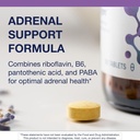 metagenics-adrenogen---adrenal-health-wi-4.jpg