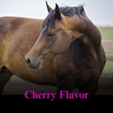 su-per-chasteberry-supplement-for-horses-3.jpg