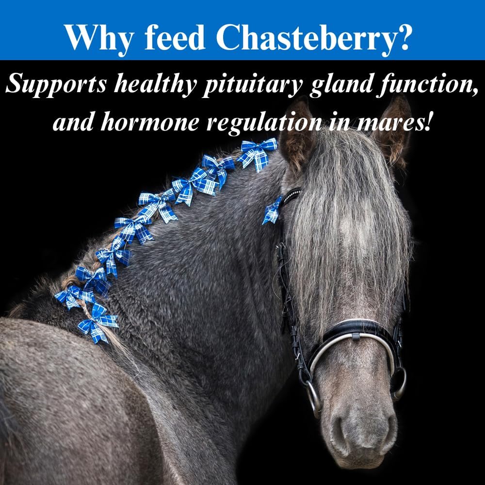 su-per-chasteberry-supplement-for-horses-4.jpg