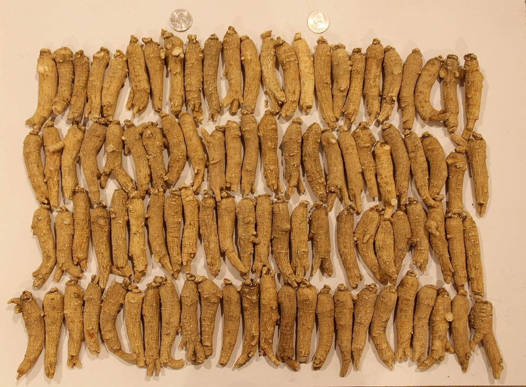 american-ginseng-from-wisconsin-ginseng--4.jpg